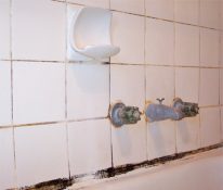 Grout Pro Australia - Before