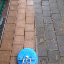 Pavers Pathway Cleaning