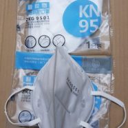 KN95 Disposable Dust Mask