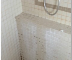 shower before grout coloursealing