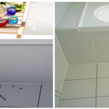 Damaged Tile Repairs